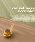 Palm Leaf Canapé Spoons 14cm | Eco-Friendly Tasting Spoons | Premium Appetizer Serveware - Canape King