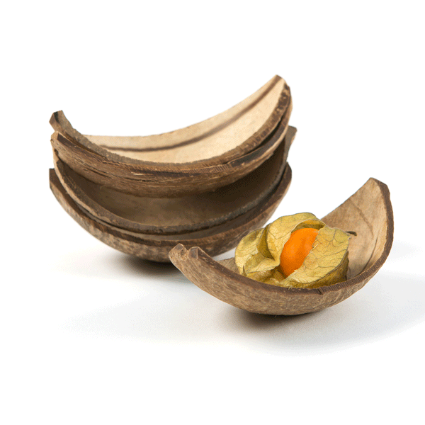 Natural Coconut Boats | Real Coconut Shell Serving Boats | Sustainable Serveware - Canape King