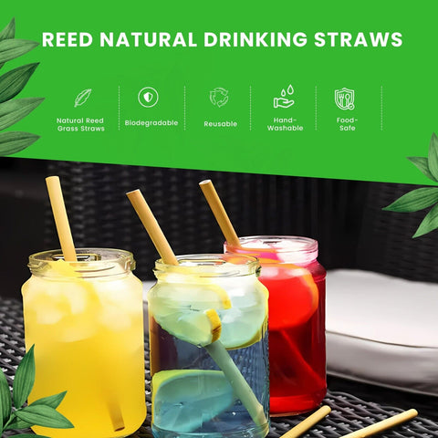 Natural Reed Drinking Straws | Eco-Friendly Cocktail Straws | 100pcs Sustainable Straws