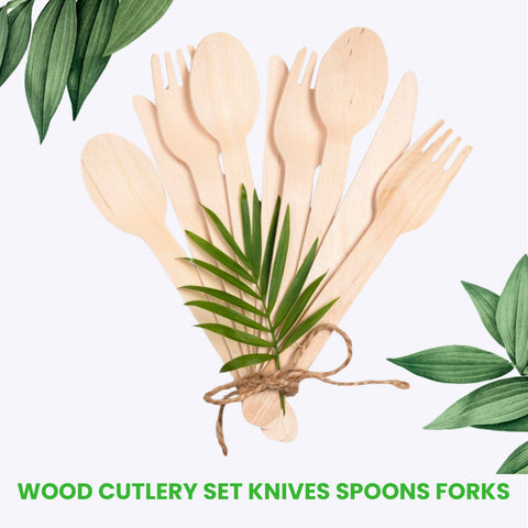 Birchwood Disposable Cutlery Set | 100-Piece Eco-Friendly Wooden Utensils | Premium Quality