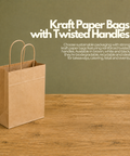 Kraft Paper Bags with Twisted Handles | Eco-Friendly Shopping Bags | 26x20x27cm - Canape King